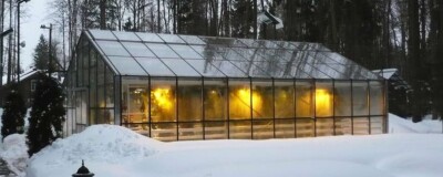 Поликарбонат для зимних садов и оранжерей: решения для круглогодичного использования