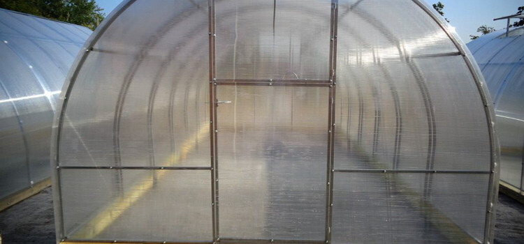 Використання полікарбонату для теплиць: який варіант найкращий?